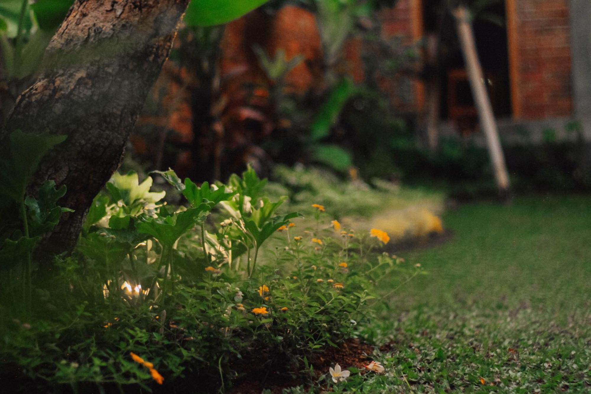 The Govardhan Homestay تْشانغو المظهر الخارجي الصورة